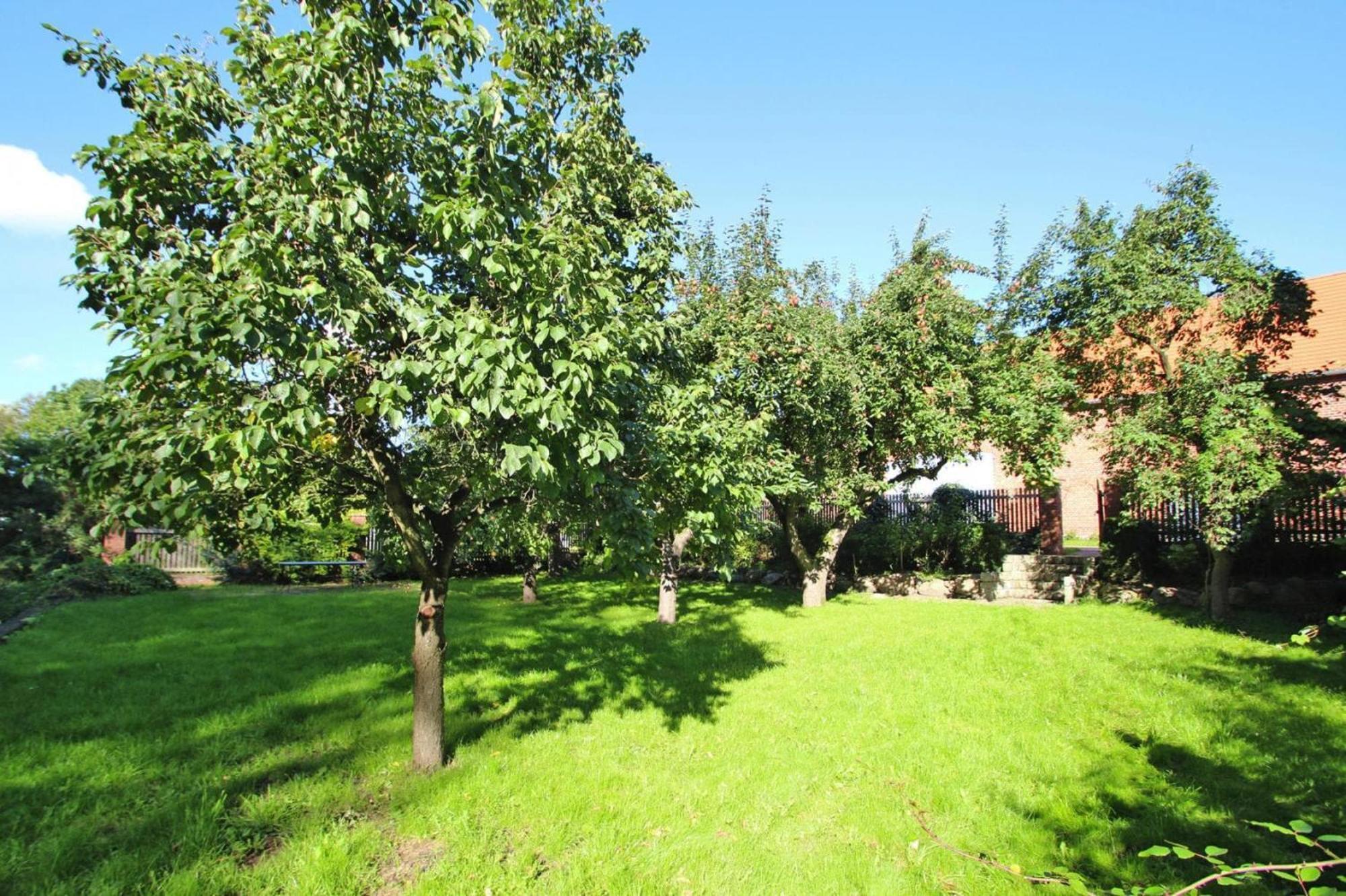 Ferienhaus Rosenhof In Lenzen Εξωτερικό φωτογραφία